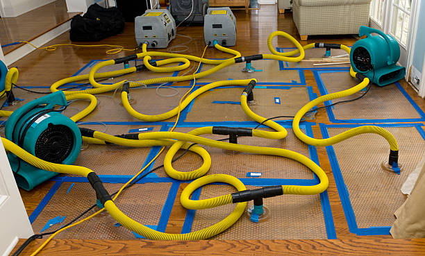Professional Structural Drying And Dehumidification technician working in Jefferson Valley, NY